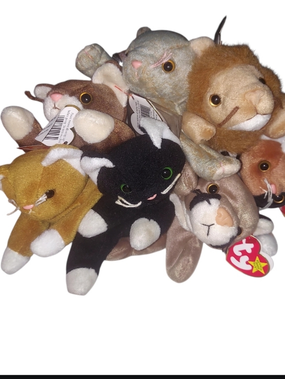 All Cats X 7 Beanie Baby Bundle